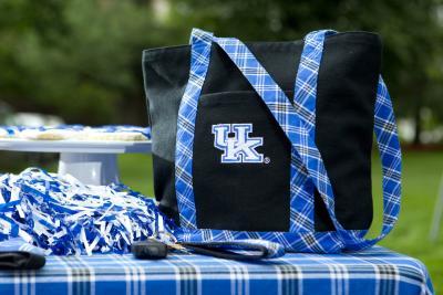 UK Plaid Tote